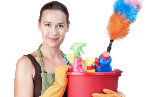 Professional pet stain odour removal in a Canonbury home