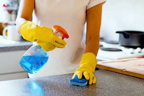 Professional carpet cleaning in a Canonbury home