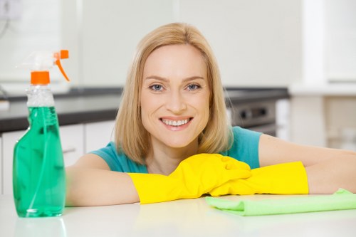 Carpet and upholstery stain cleaning in Canonbury homes