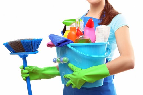Professional upholstery cleaning in a Canonbury living room