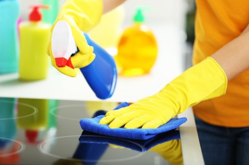 Professional evaluation of a carpet cleaning concern