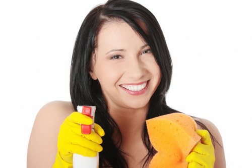 Safety-conscious carpet cleaning setup in a home interior