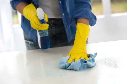 Professional carpet cleaning in progress with treatment spray